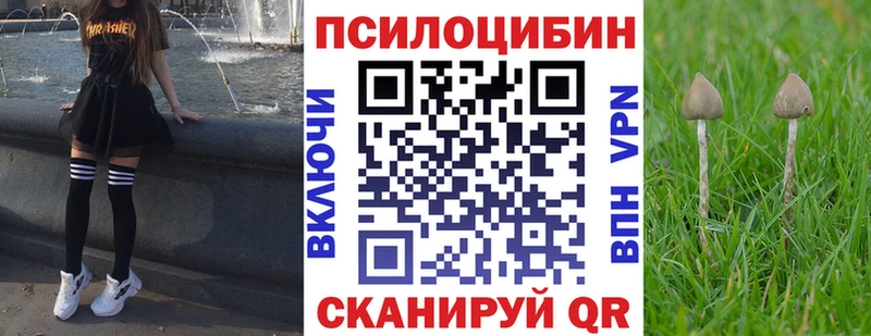 Галлюциногенные грибы прущие грибы  кракен   Ардон  продажа наркотиков 